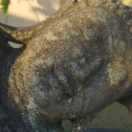Minabali Bunga'Lo Ξενοδοχείο Tulamben Εξωτερικό φωτογραφία
